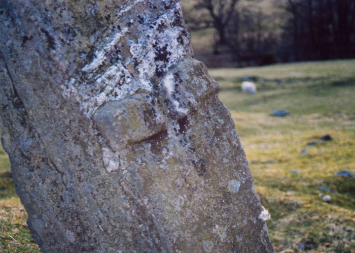 St Adamnan's Cross (Standing Stone / Menhir) by BigSweetie