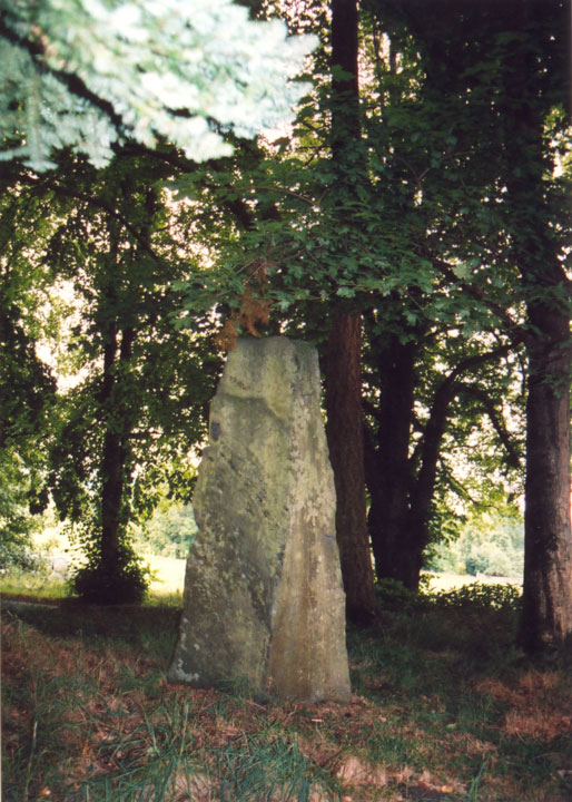 Balnakeilly Stone (Standing Stone / Menhir) by BigSweetie