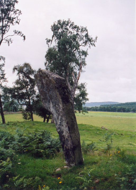 Clach na h' Iobairte (Standing Stone / Menhir) by BigSweetie