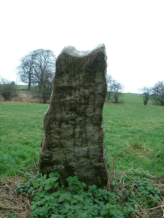 Bradbourne (Standing Stone / Menhir) by stubob