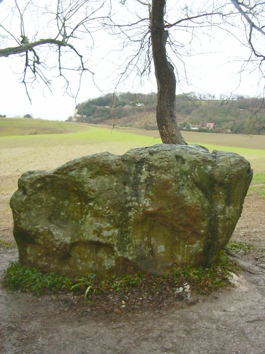 White Horse Stone (Standing Stone / Menhir) by Jane