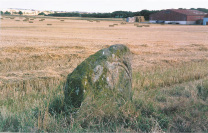 Skeith Stone (Standing Stone / Menhir) by hamish