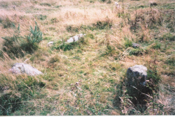 Shealwalls (Stone Circle) by hamish