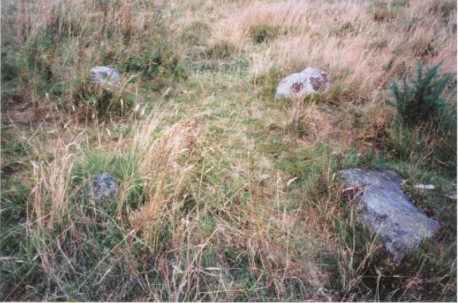 Shealwalls (Stone Circle) by hamish
