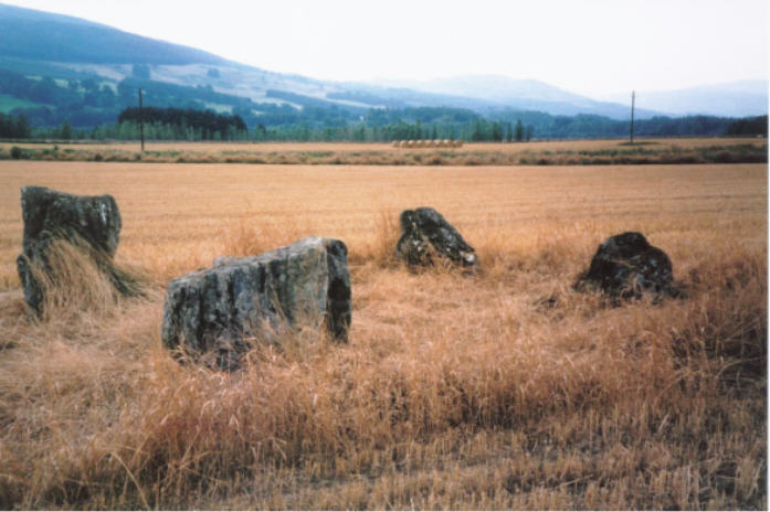 Carse Farm I (Stone Circle) by hamish