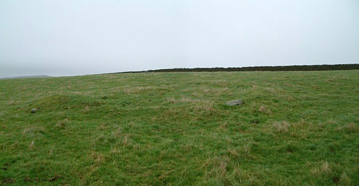 Ladder Hill (Round Barrow(s)) by stubob