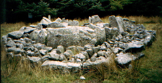 Ballyedmonduff (Wedge Tomb) by greywether