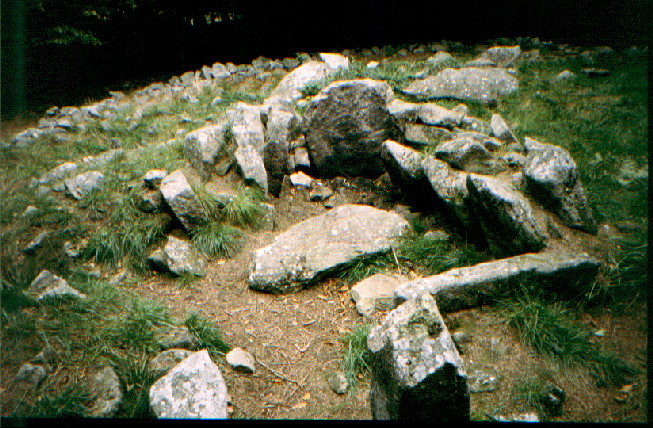 Kilmashogue Wedge Tomb (Wedge Tomb) by greywether