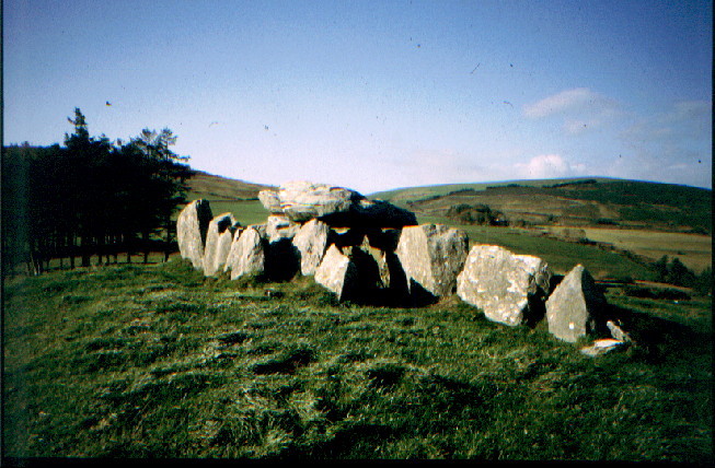Knockcurraghbola Commons (Wedge Tomb) by greywether