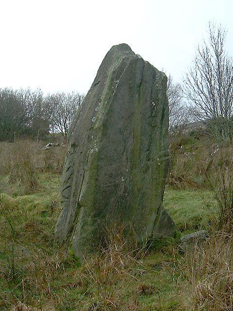 Aghascrebagh (Standing Stone / Menhir) by megaman