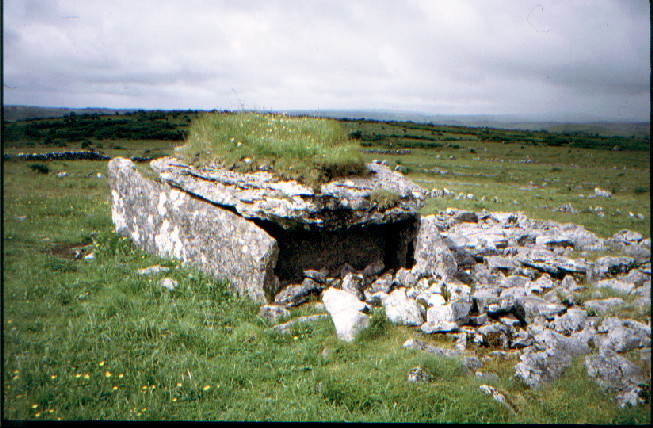 Parknabinnia (Cl. 67) (Wedge Tomb) by greywether