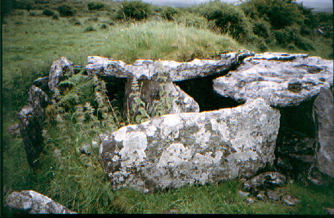 Parknabinnia (Cl. 69) (Wedge Tomb) by greywether