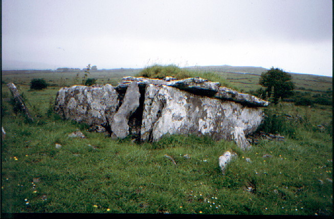 Parknabinnia (Cl. 69) (Wedge Tomb) by greywether