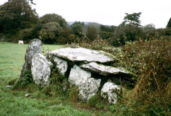 Inchincurka (Wedge Tomb) by greywether