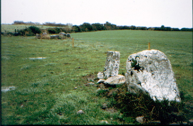 Knockraheen (Stone Circle) by greywether