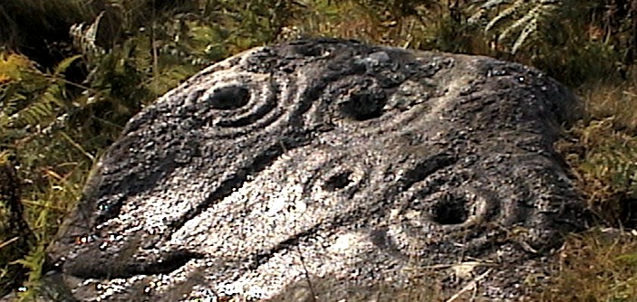 Millstone Burn (Cup and Ring Marks / Rock Art) by greywether