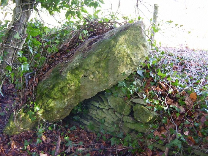 Five Shilling Corner Stone (Standing Stone / Menhir) by Jane