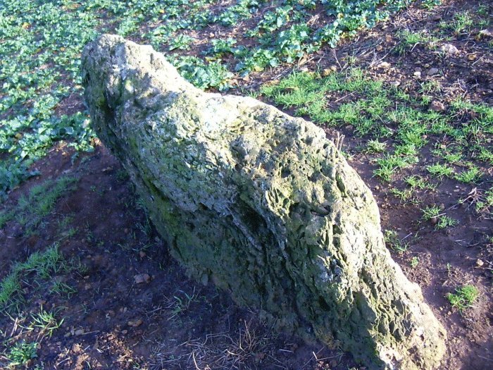The Horestone (Swell) (Standing Stone / Menhir) by Jane