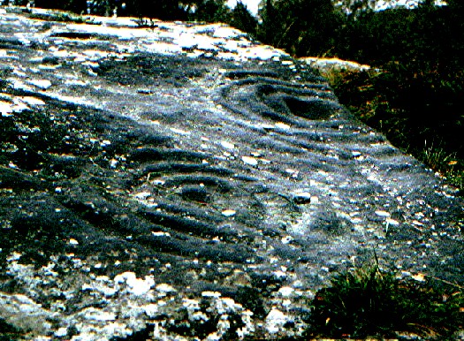 Roughting Linn (Cup and Ring Marks / Rock Art) by greywether