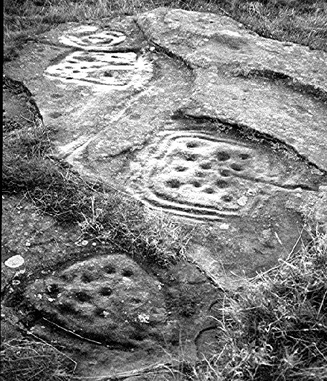 Dod Law Main (Cup and Ring Marks / Rock Art) by greywether