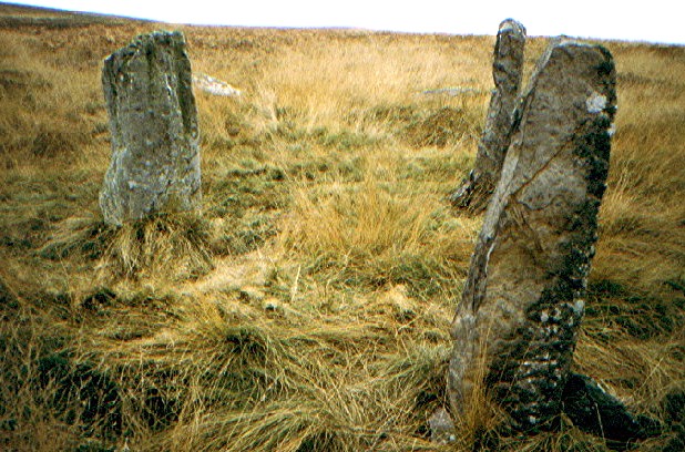Doddington Stone Circle (Stone Circle) by greywether