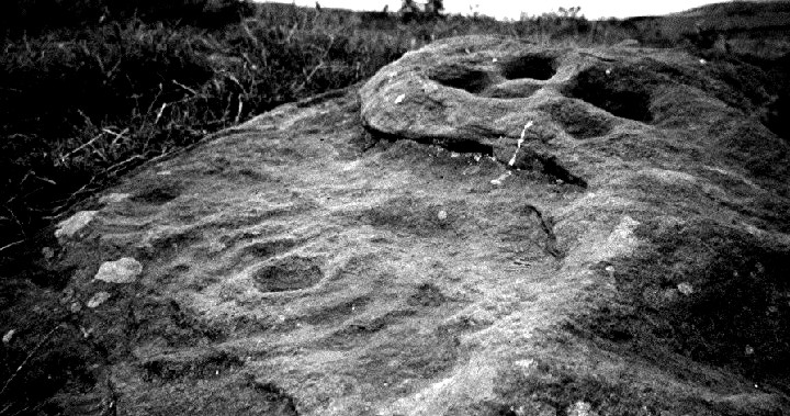 The Ringses (Cup and Ring Marks / Rock Art) by greywether