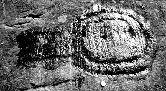 Chatton (Cup and Ring Marks / Rock Art) by greywether