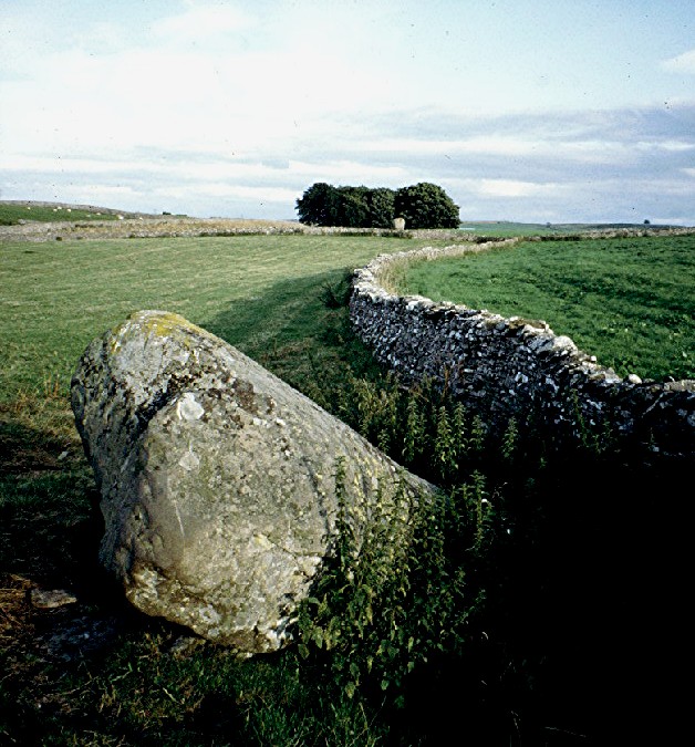 The Goggleby Stone (Standing Stone / Menhir) by greywether
