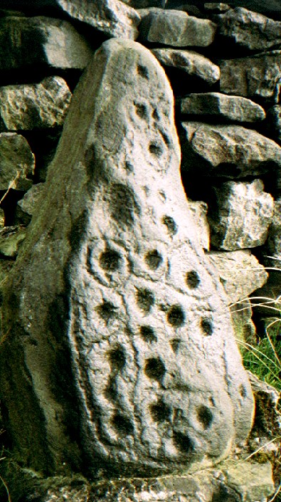 Baildon Stone 1 (Dobrudden) (Cup and Ring Marks / Rock Art) by greywether