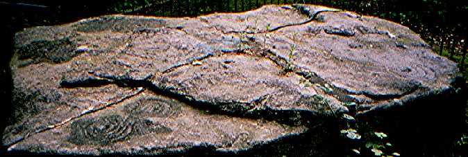 Panorama Stone (Cup and Ring Marks / Rock Art) by greywether
