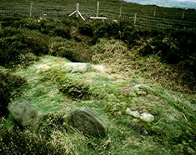 Hob Hurst's House (Burial Chamber) by greywether