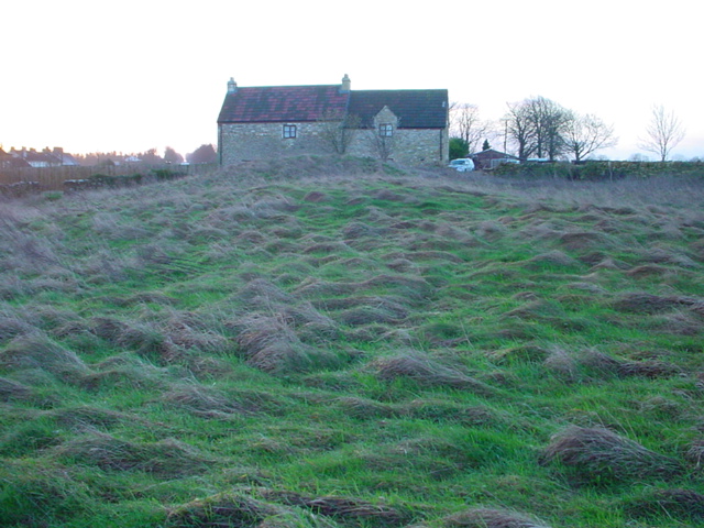 Lansdown Barrows (Round Barrow(s)) by moss