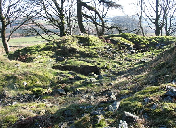 Cuff Hill (Chambered Tomb) by greywether