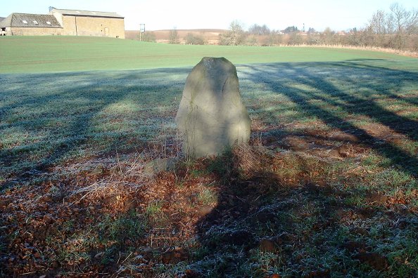 Denmarkfield / King's Stone (Standing Stone / Menhir) by nickbrand