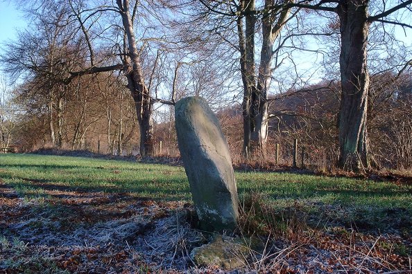Denmarkfield / King's Stone (Standing Stone / Menhir) by nickbrand