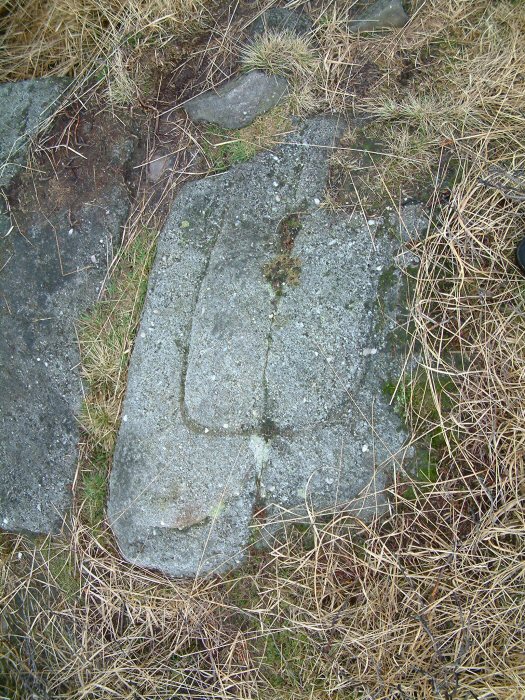Anglezarke Misc 3 (Carving) by Rivington Pike