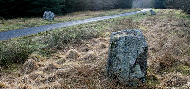 Giant's Stone (Standing Stones) by greywether