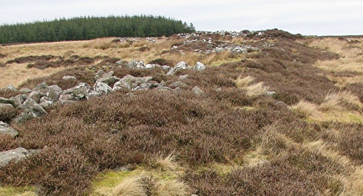 Greens Moor (Chambered Cairn) by greywether