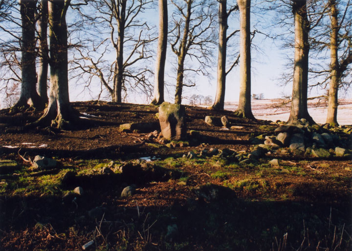 Fowlis Wester Cairn (Cairn(s)) by BigSweetie