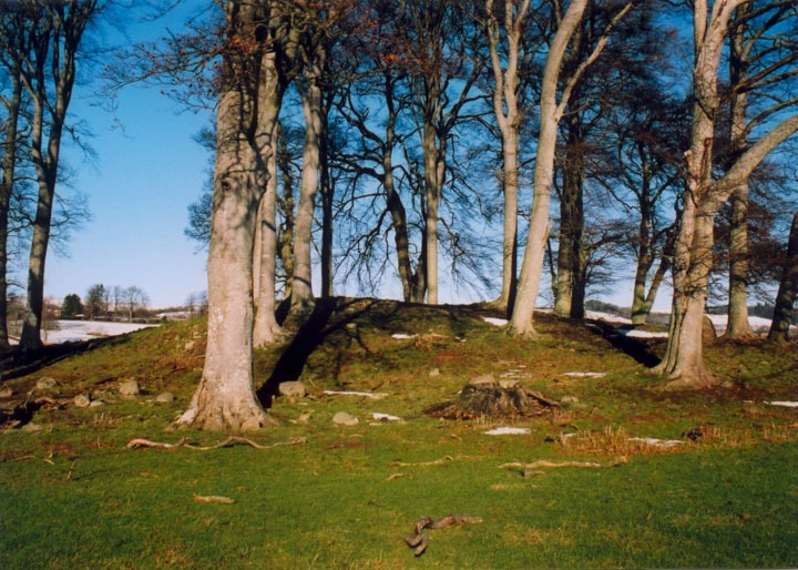 Fowlis Wester Cairn (Cairn(s)) by BigSweetie