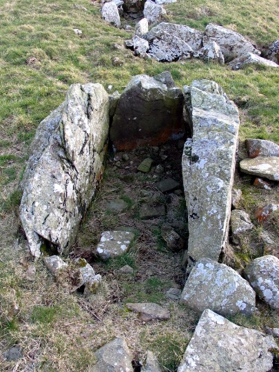 Mid Gleniron I and II (Chambered Tomb) by greywether