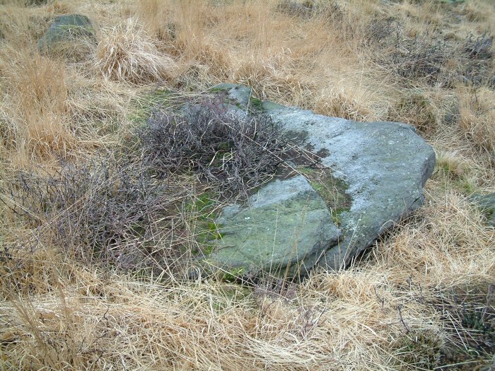 Anglezarke Misc 5 (Chambered Cairn) by Rivington Pike