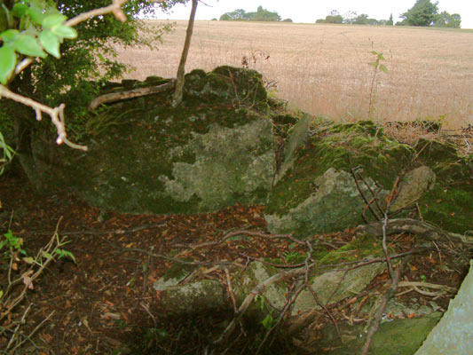 Burnt Hill Dolmen (Chambered Tomb) by baza