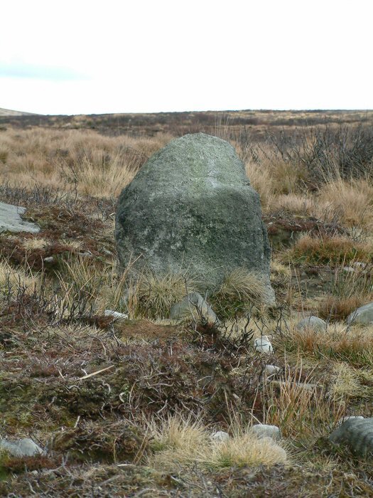 Anglezarke Moor Standing Stone (Standing Stone / Menhir) by Rivington Pike