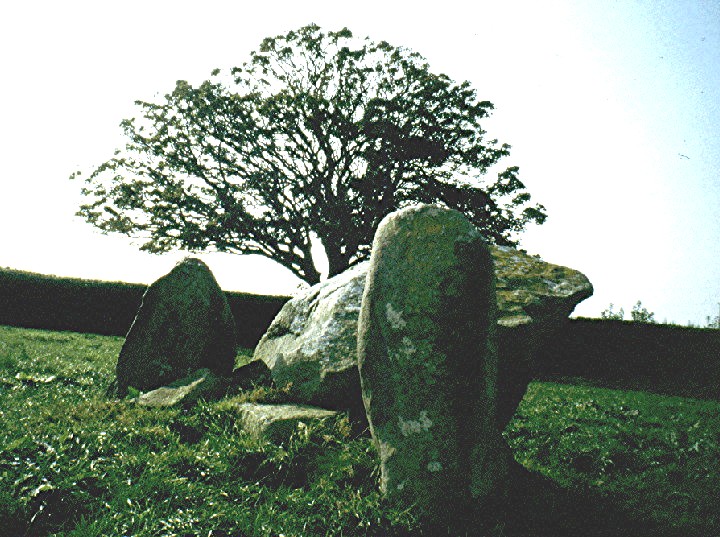 Penarth (Chambered Tomb) by greywether