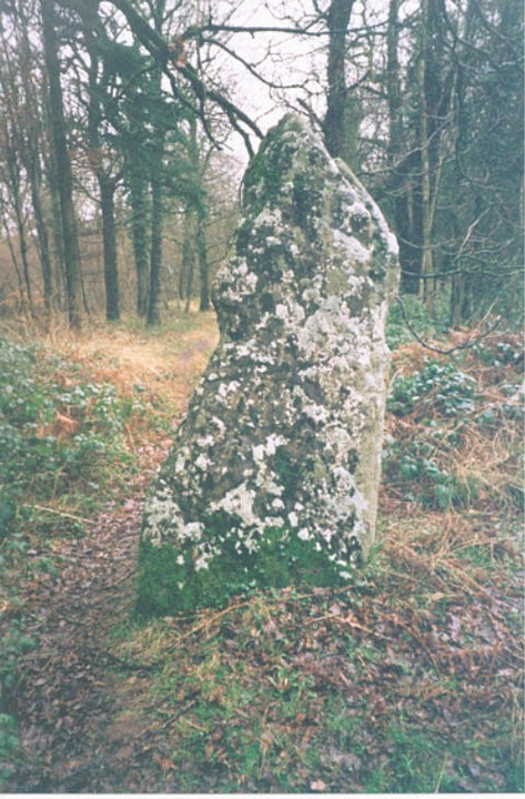 Long Stone (Staunton) (Standing Stone / Menhir) by hamish