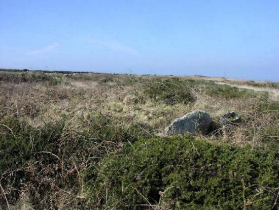 Portheras Common Barrow (Round Cairn) by Moth