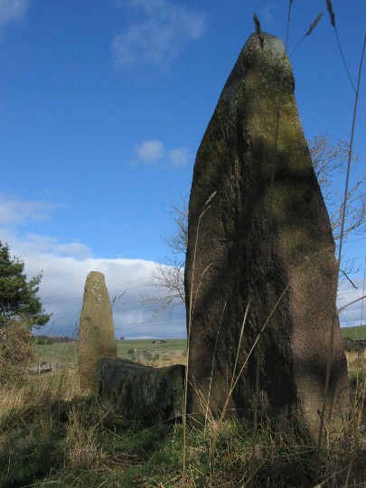 Sunhoney (Stone Circle) by greywether