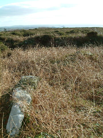 Boskednan Southern Cairn (Kerbed Cairn) by Mr Hamhead