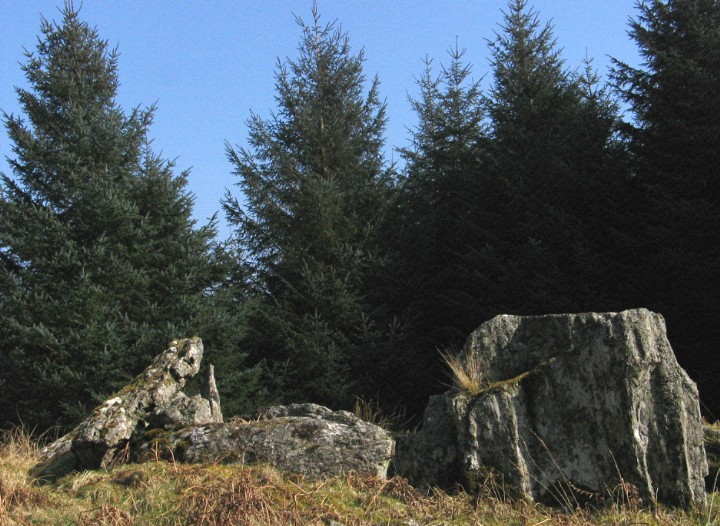 Auchnaha (Chambered Cairn) by greywether